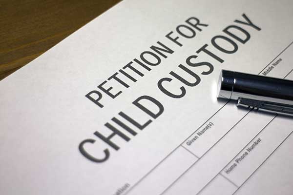 Professional Divorce Lawyer Professional Divorce Lawyer
